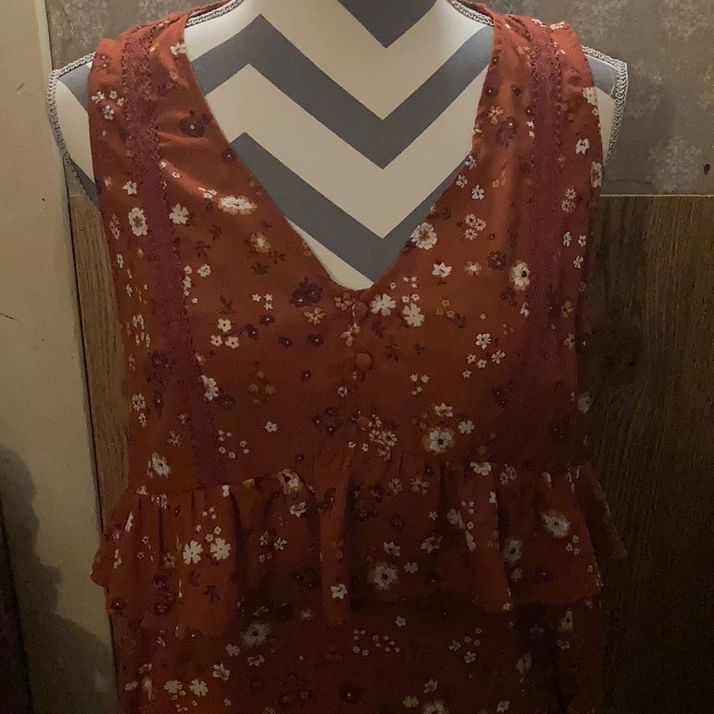 Francesca’s Cinnamon Floral Dress NWT Medium